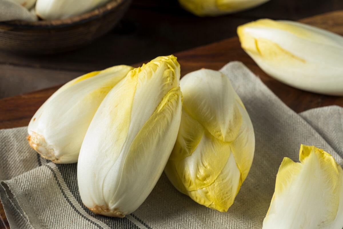 Why it should be stored in the dark and other facts about chicory (+ recipe ideas)