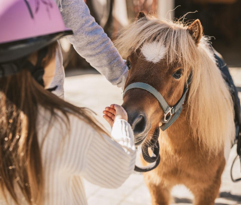 Experience vacation with animals is great for kids.