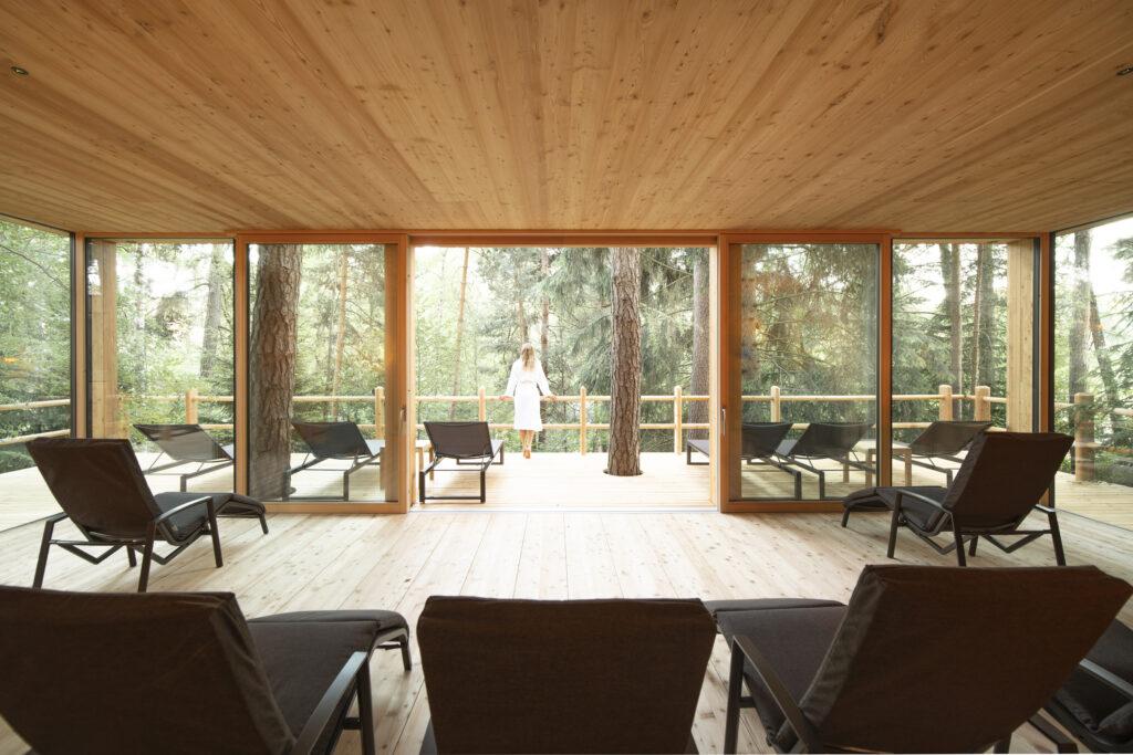 Oases of calm in the ADLER: Lodge, relaxation room, panoramic view of the forest