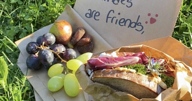 Veganism – 7 tips how to become a little more vegan