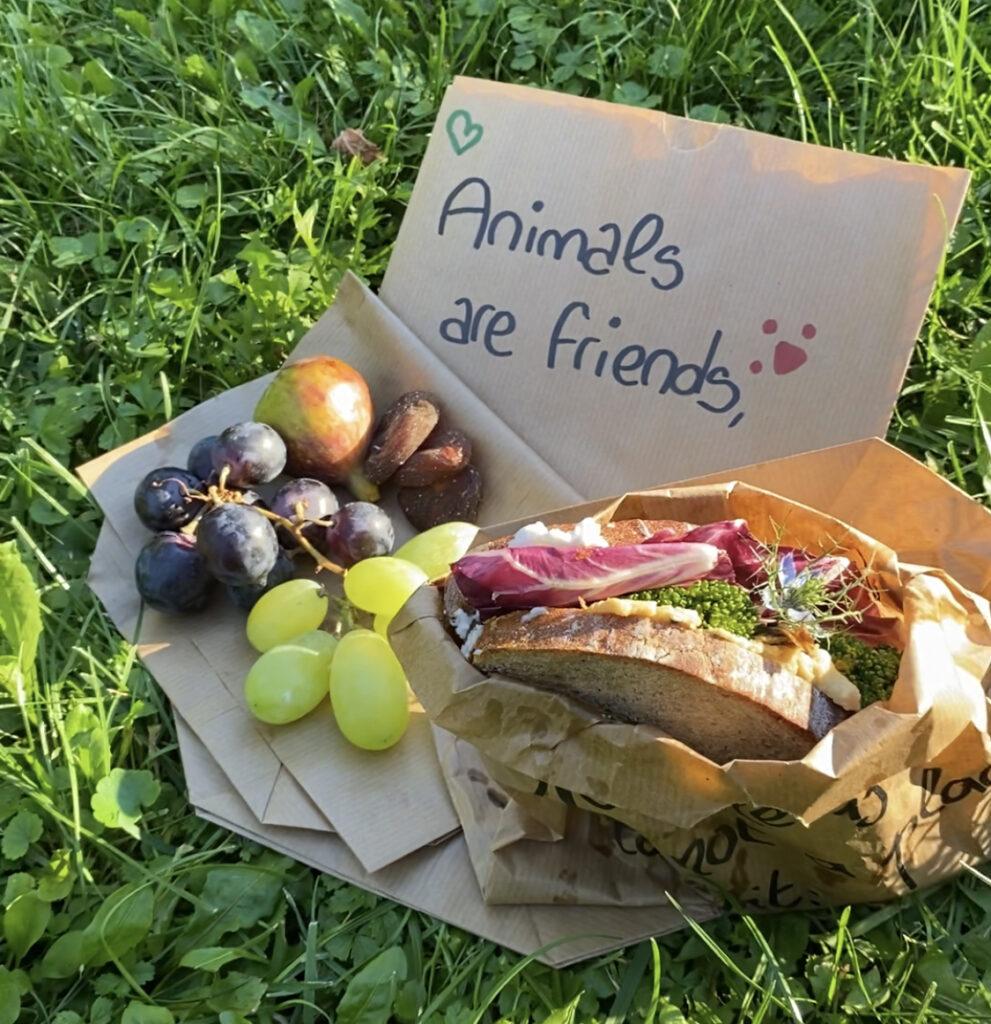 Veganism: Vegan Hotel Lunch Pack for On-the-Go