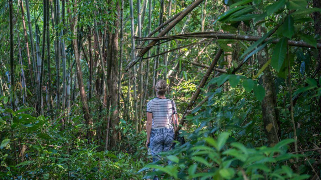 A sustainable vacation in the Cambodian rainforest
