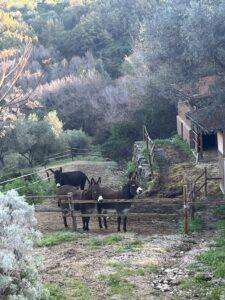 Waste Prevention in Tourism and Zero Waste Travel Tips