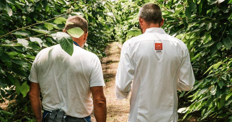 Regional plus seasonal equals sustainable: Local food to enhance sustainability when traveling