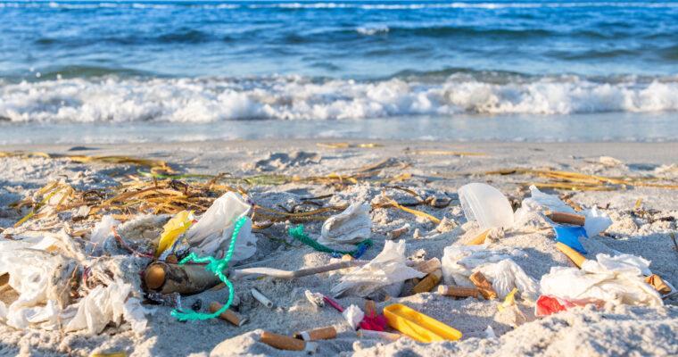 Waste Prevention in Tourism and Zero Waste Travel Tips