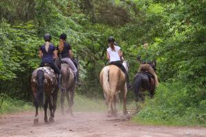 Riding with friends-sustainable riding vacation