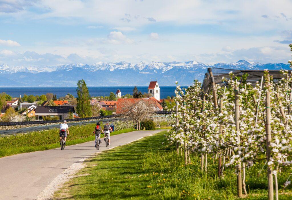 Sustainable Travel to Lake Constance - Biking with the Family - Apple Blossom Season