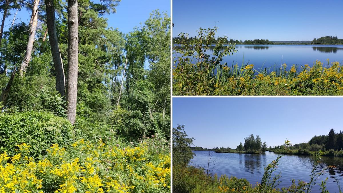 Wild and romantic around Augsburg