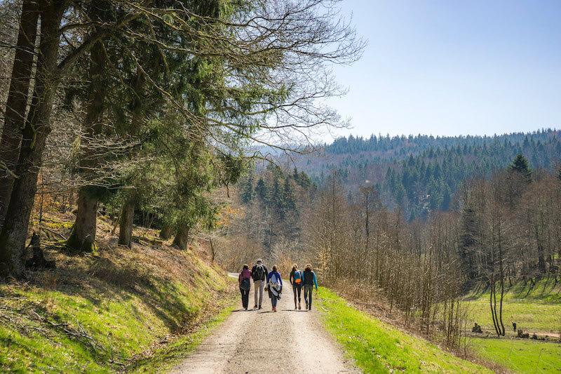 Hikers in Bad Herrenalb, Black Forest. © Tourismus GmbH Nördlicher Schwarzwald