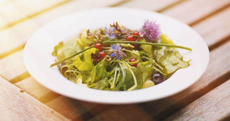 Blossoms on the plate – tips and inspiration from the world of sustainable professional catering