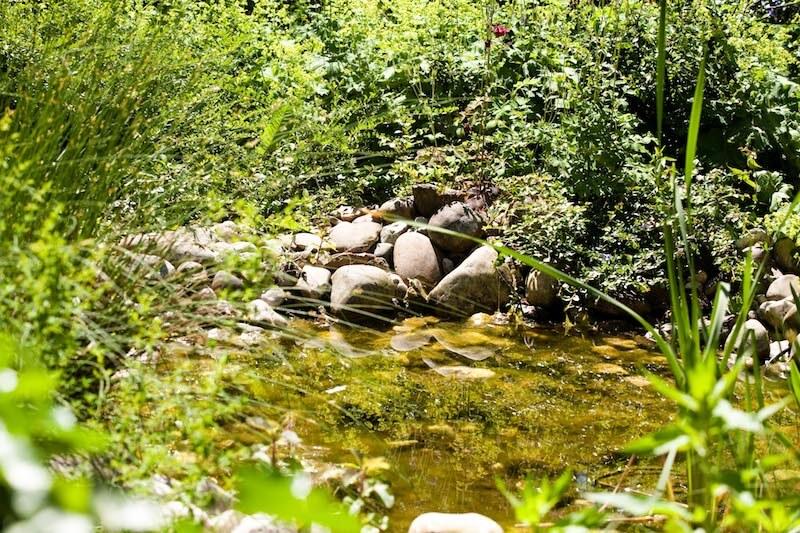 Biotope garden © Creativhotel Luise
