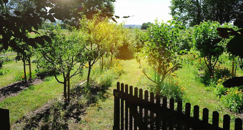 Farm-to-Table: When the food on your plate comes straight from the farm