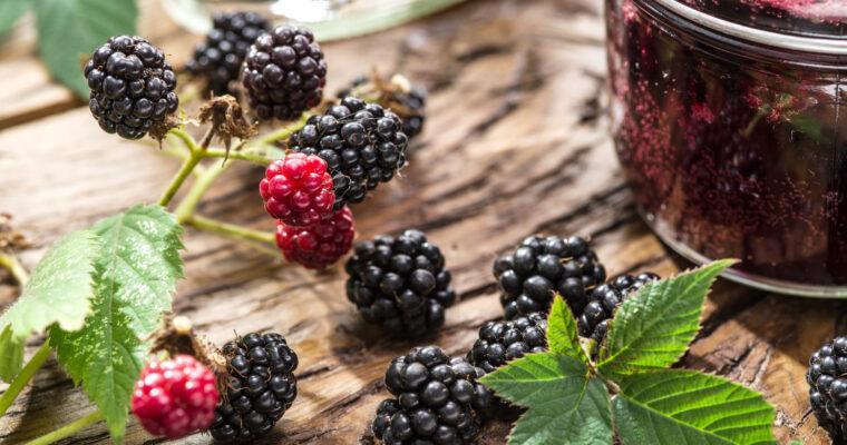 It’s blackberry season!