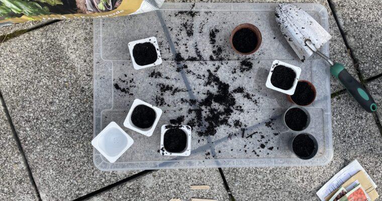 DIY cultivation, Part 1: Upcycling tips and materials to get you started