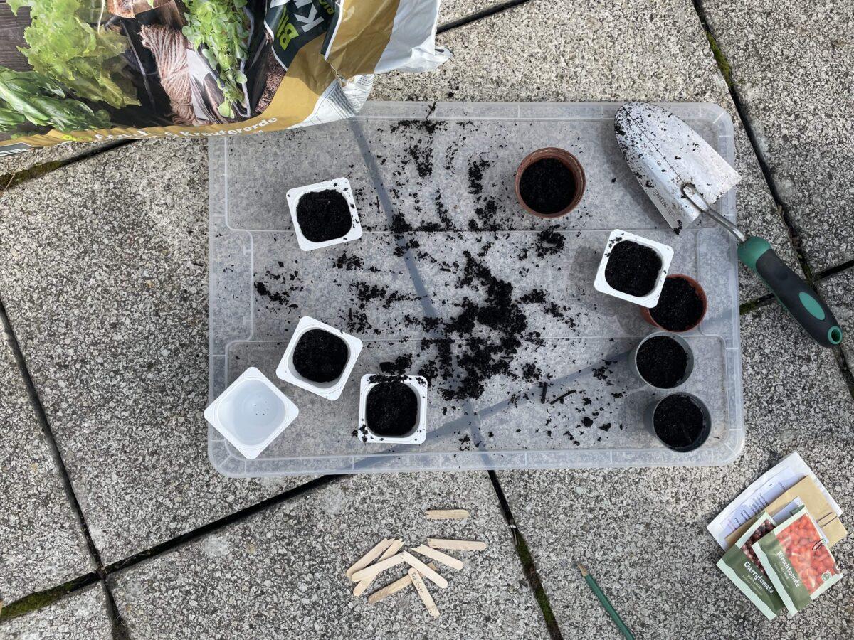 DIY cultivation, Part 1: Upcycling tips and materials to get you started