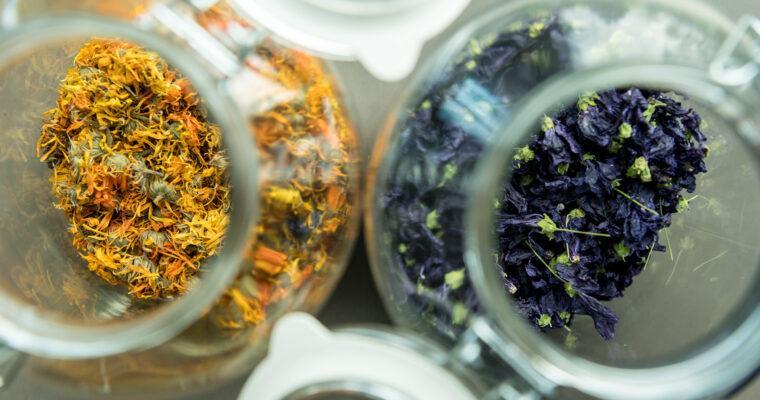 Wintertime = Tea Time | Sustainable Herbal Teas