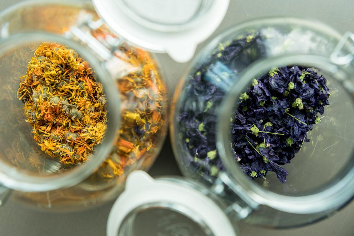 Wintertime = Tea Time | Sustainable Herbal Teas