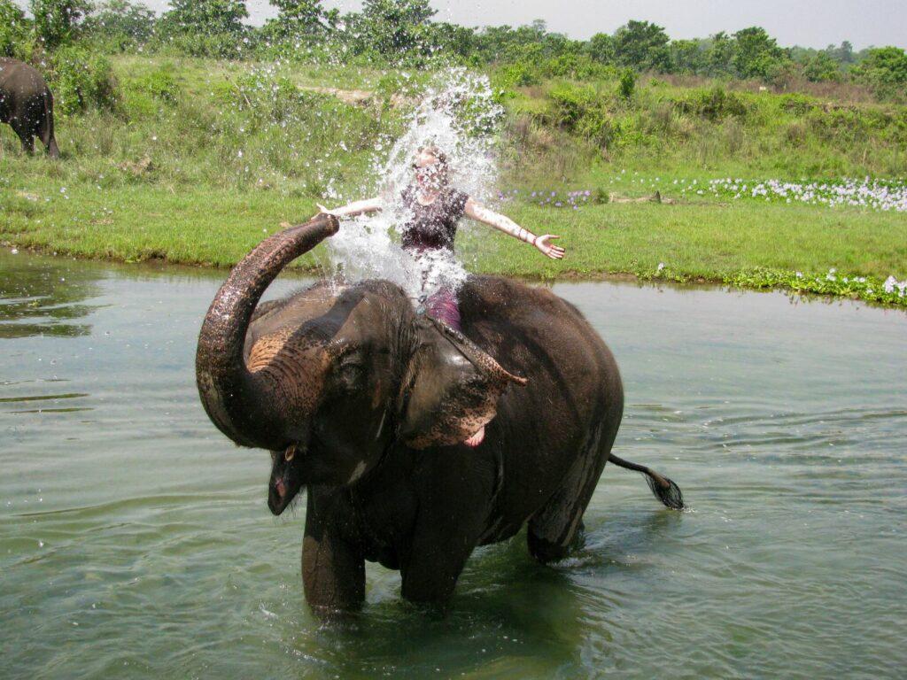 Woman riding an elephant