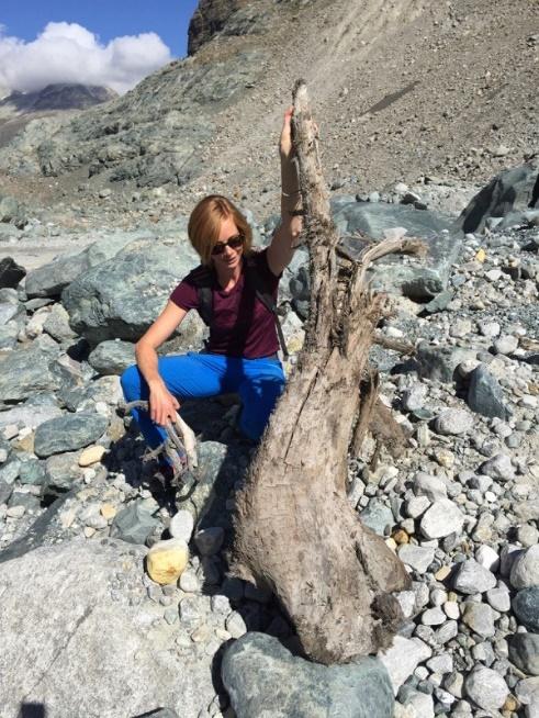 Melting glaciers - wood over 8000 years old