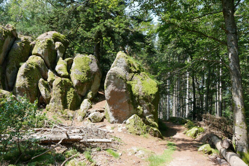 Black Forest, Germany: a place of natural power