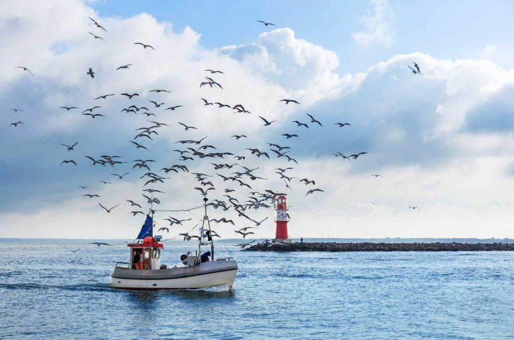 Fishing boat on the Baltic Sea
