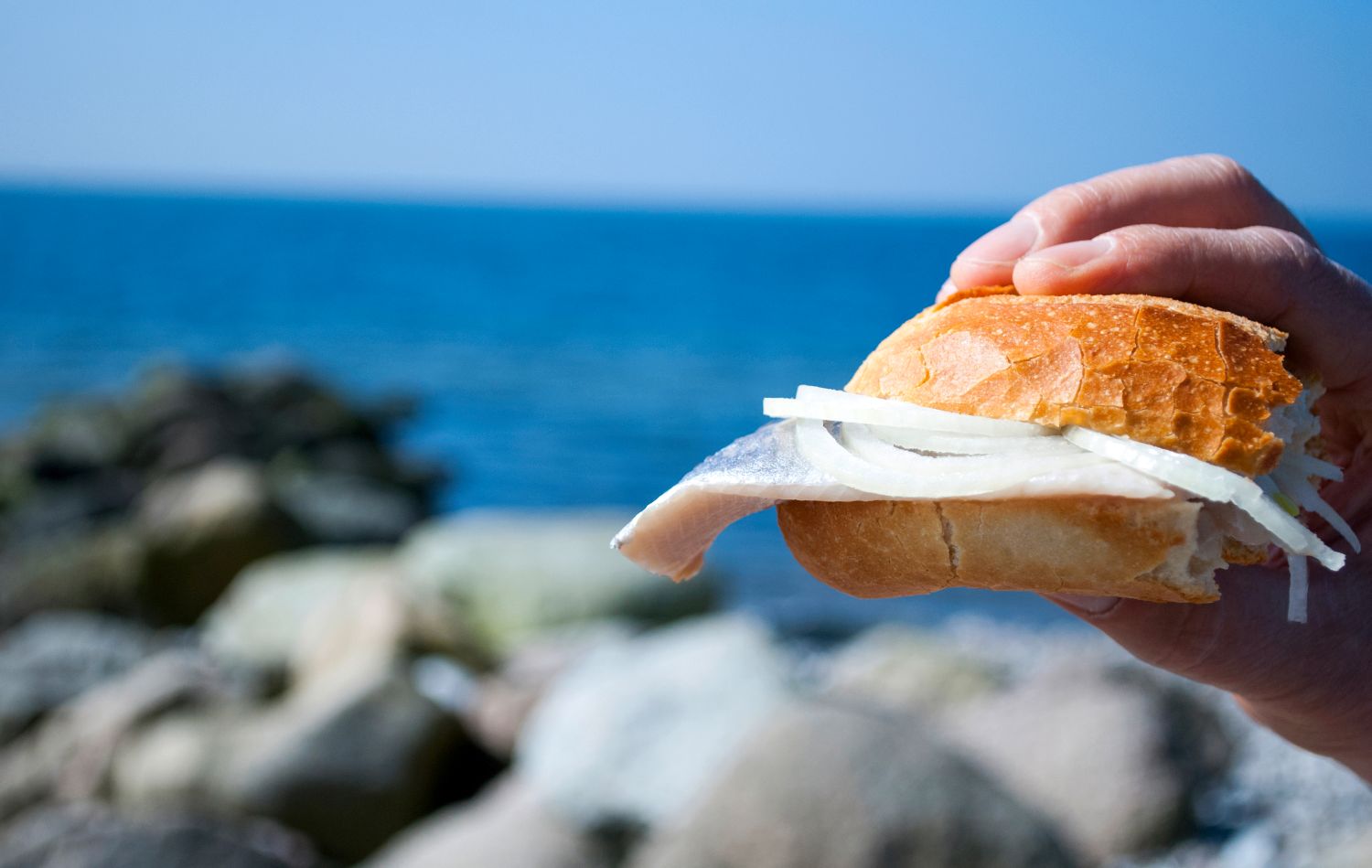 Culinary Journey to the Baltic Sea – Between tradition, sustainability and new tastes