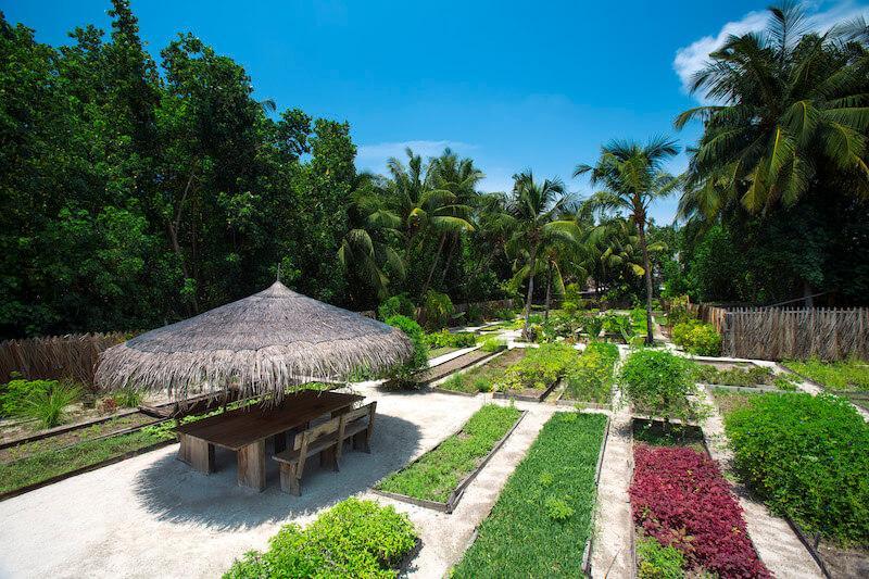 Recycling instead of discarding – how hotels use food waste