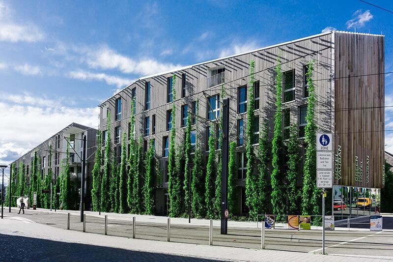 Urban gardening and urban farming – A study shows: It could be more sustainable