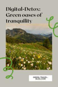 Green Pearls® hotels, Digital-Detox