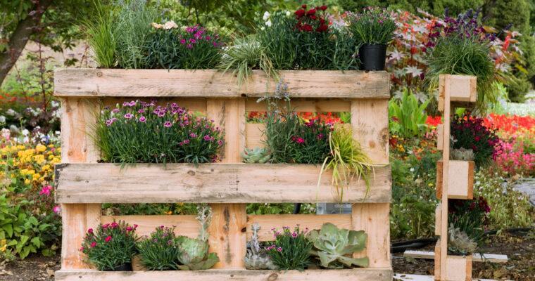 Pallet upcycling: vertical gardening