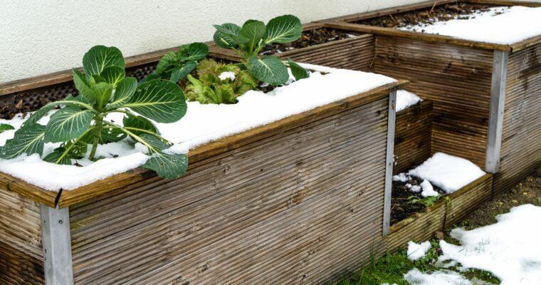 Preparing your raised bed for winter – 4 tips