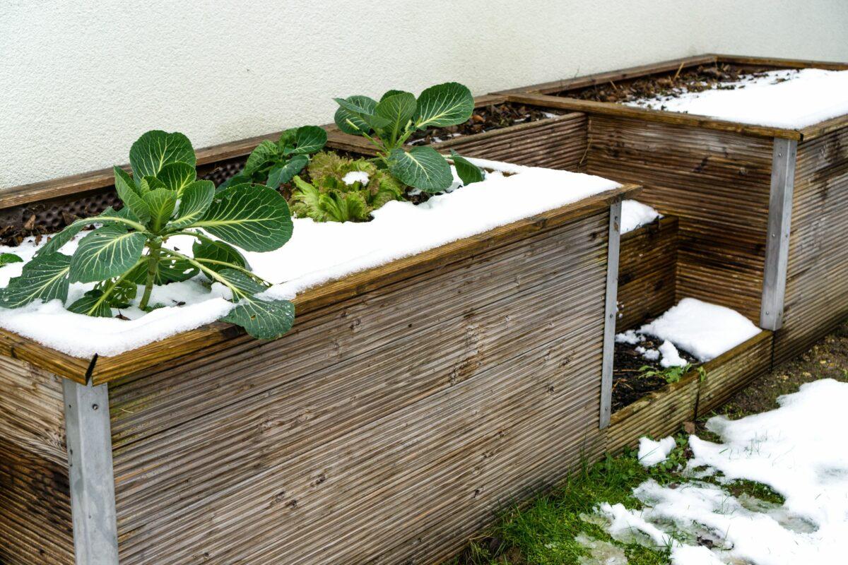 Preparing your raised bed for winter – 4 tips