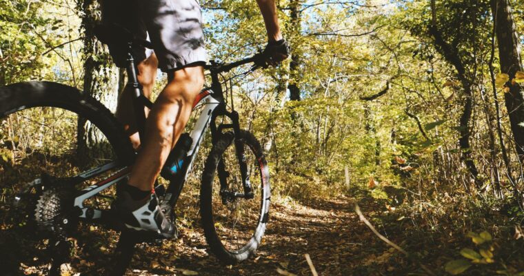 Sustainable Travel in Germany – Destinations and Travel Tips (Green Travel Guide)