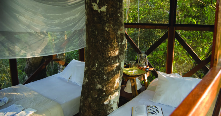 Treehouse Hotels: Sustainable hotels in the treetops