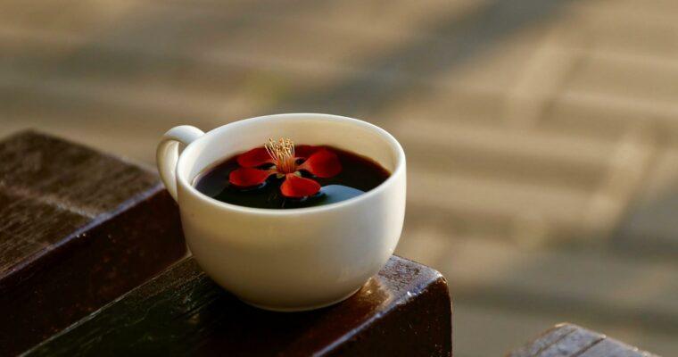 Sustainable Coffee Trends 2024 – Tips from the Barista