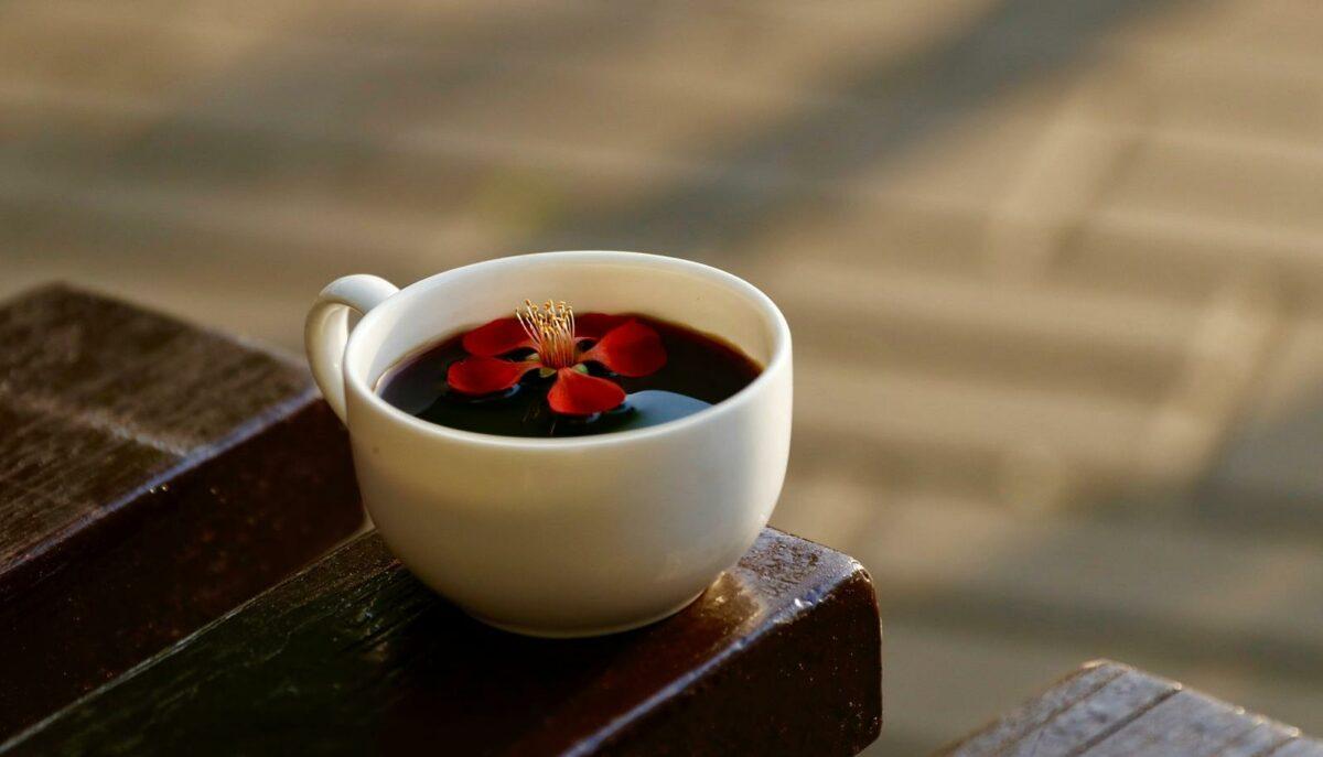 Sustainable Coffee Trends 2024 – Tips from the Barista