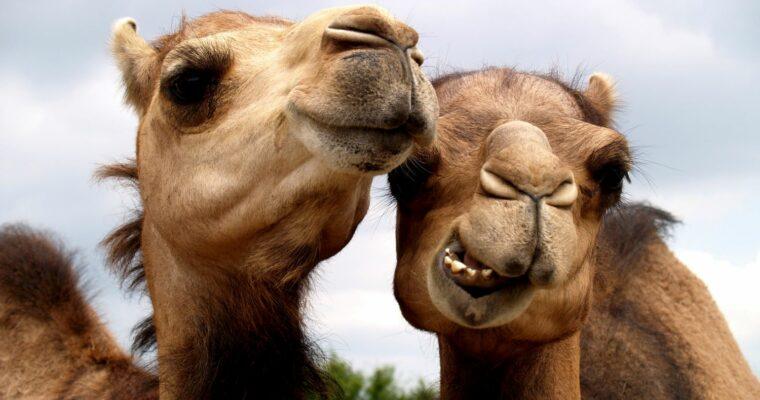 10 myths about sustainable travel – and whether there’s any truth to them