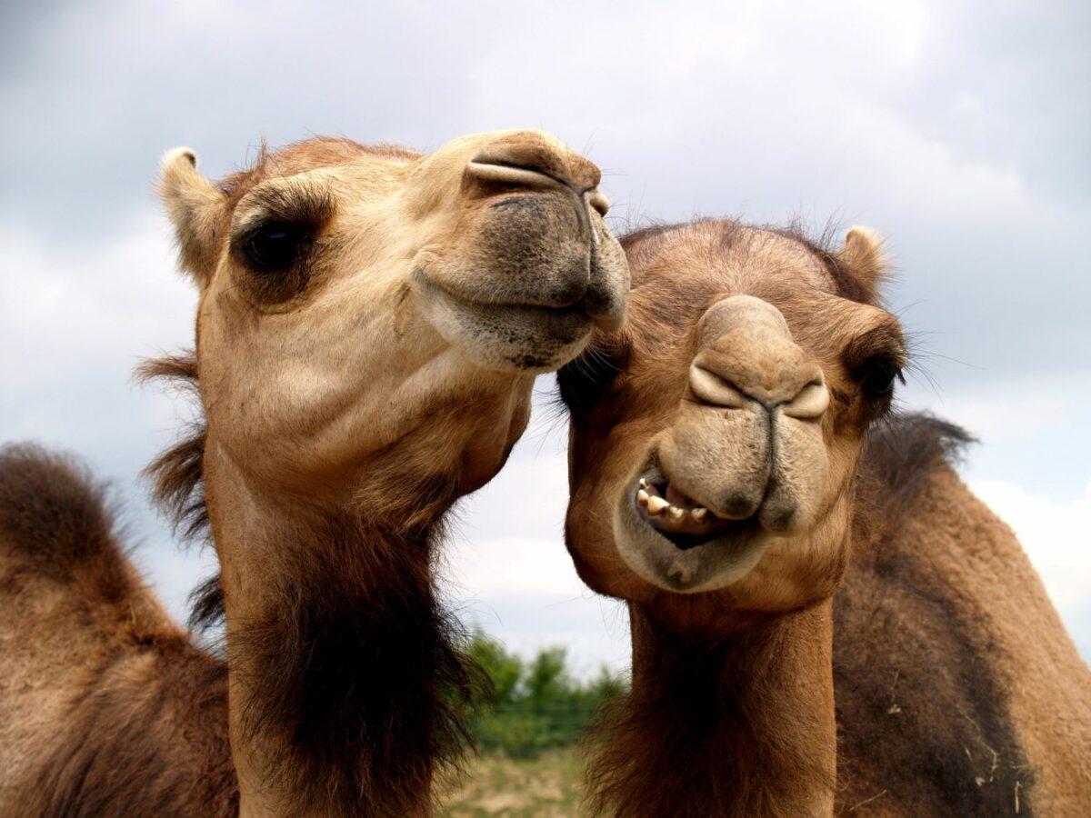 10 myths about sustainable travel – and whether there’s any truth to them