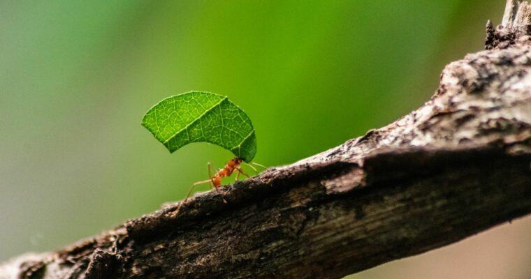 Sustainability in everyday life: Small steps make a big difference