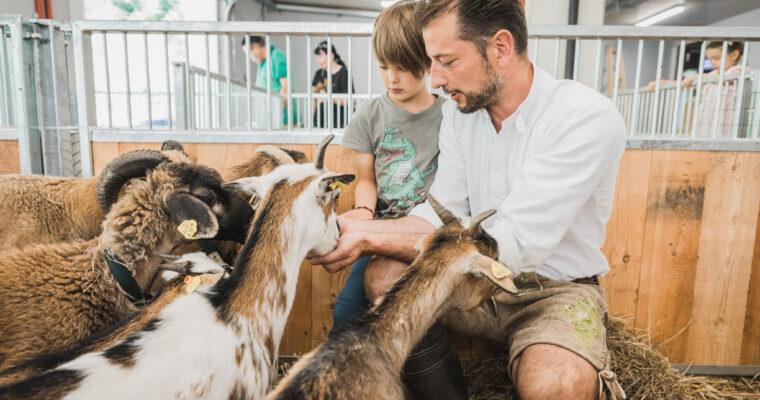 Sustainable travel with kids – Tips from our Green PearlsⓇ partners