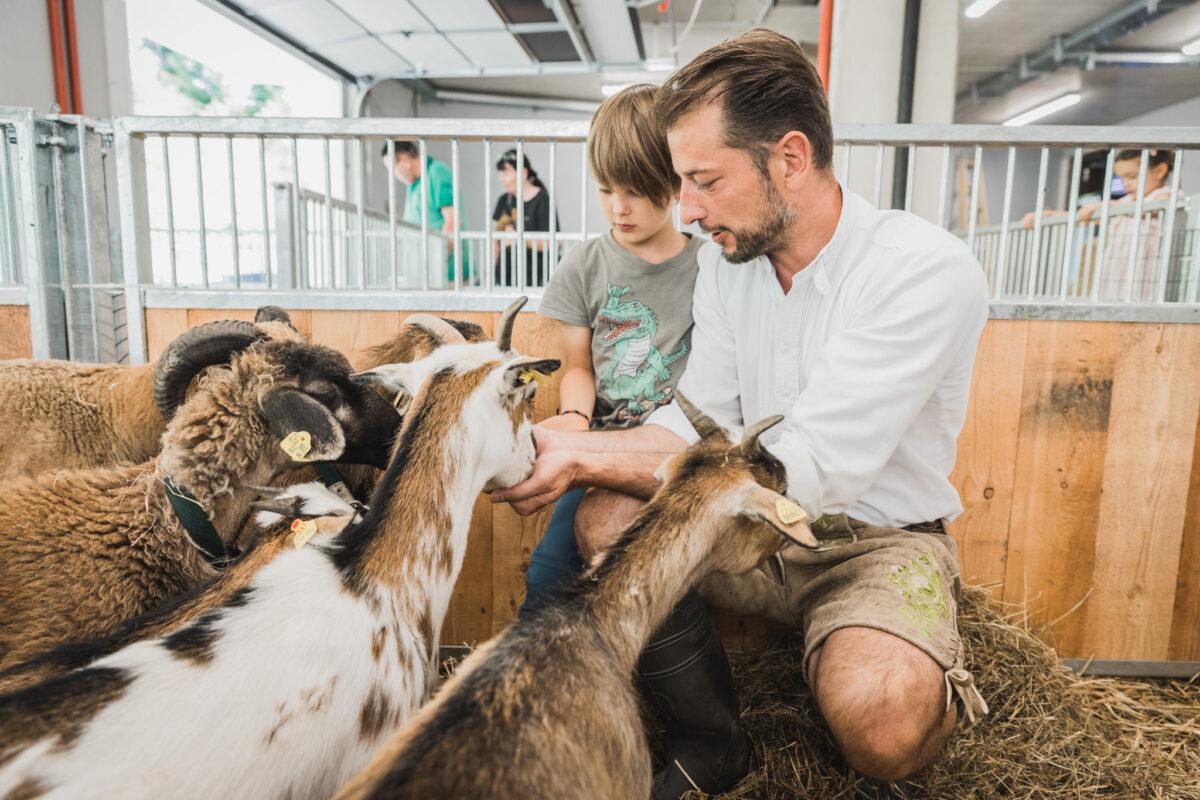 Sustainable travel with kids – Tips from our Green PearlsⓇ partners