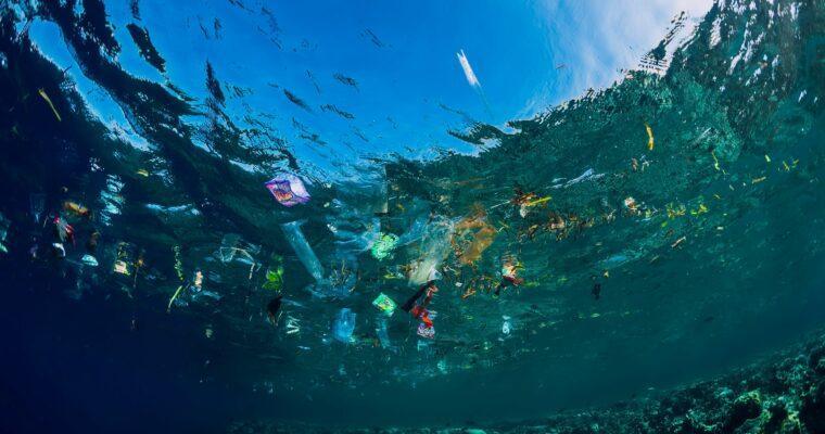 Microplastics and their environmental impact