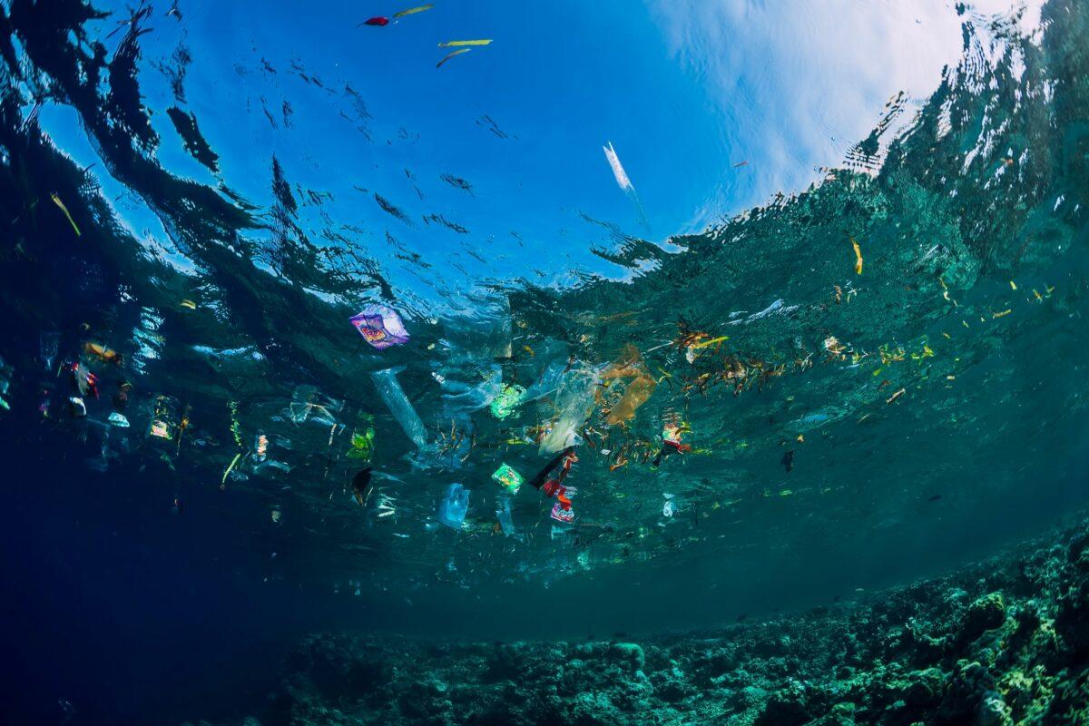 Microplastics and their environmental impact