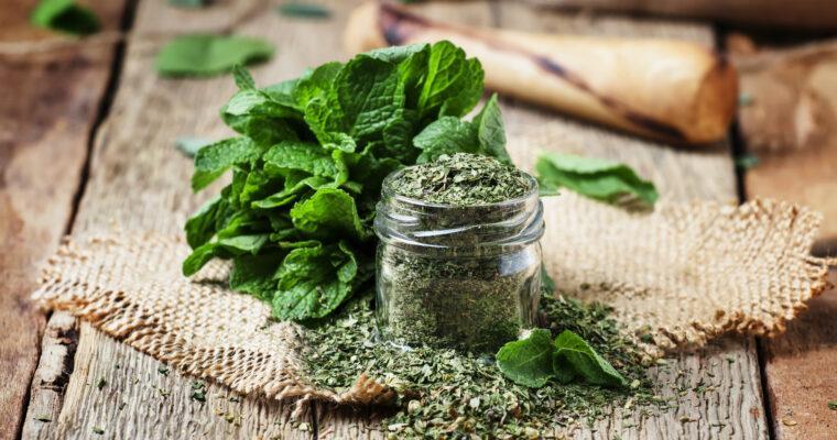 Drying mint – herbal pleasure for the winter