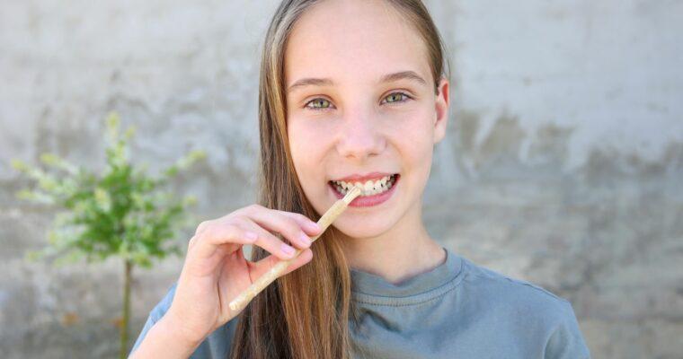 Miswak instead of high-tech: I use the world’s most eco-friendly travel toothbrush