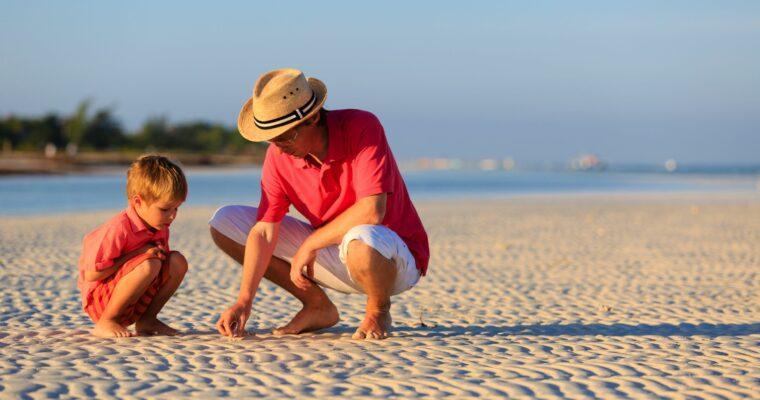 Is it sustainable to collect shells?