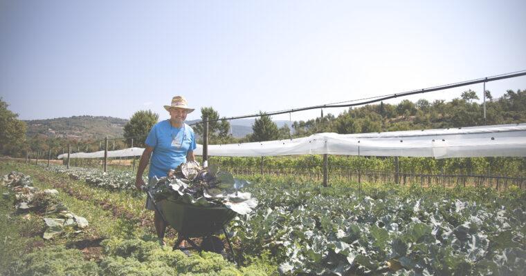 Sustainable Cuisine – An overview of concepts, trends and challenges