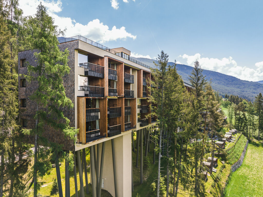 Tree Hotel My Arbor in the forest