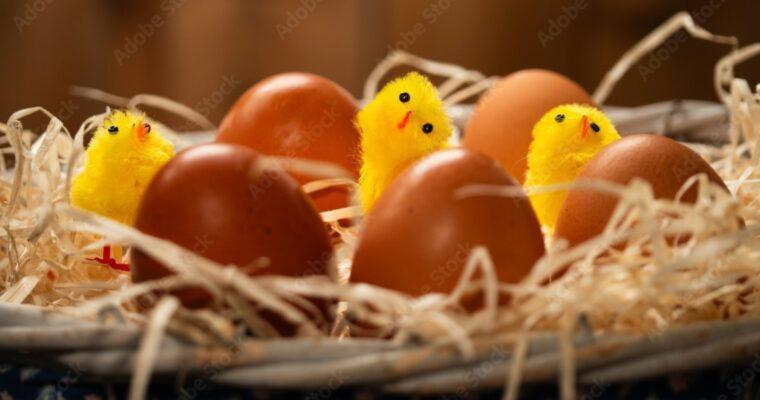 7 sustainable ideas for your nesting party