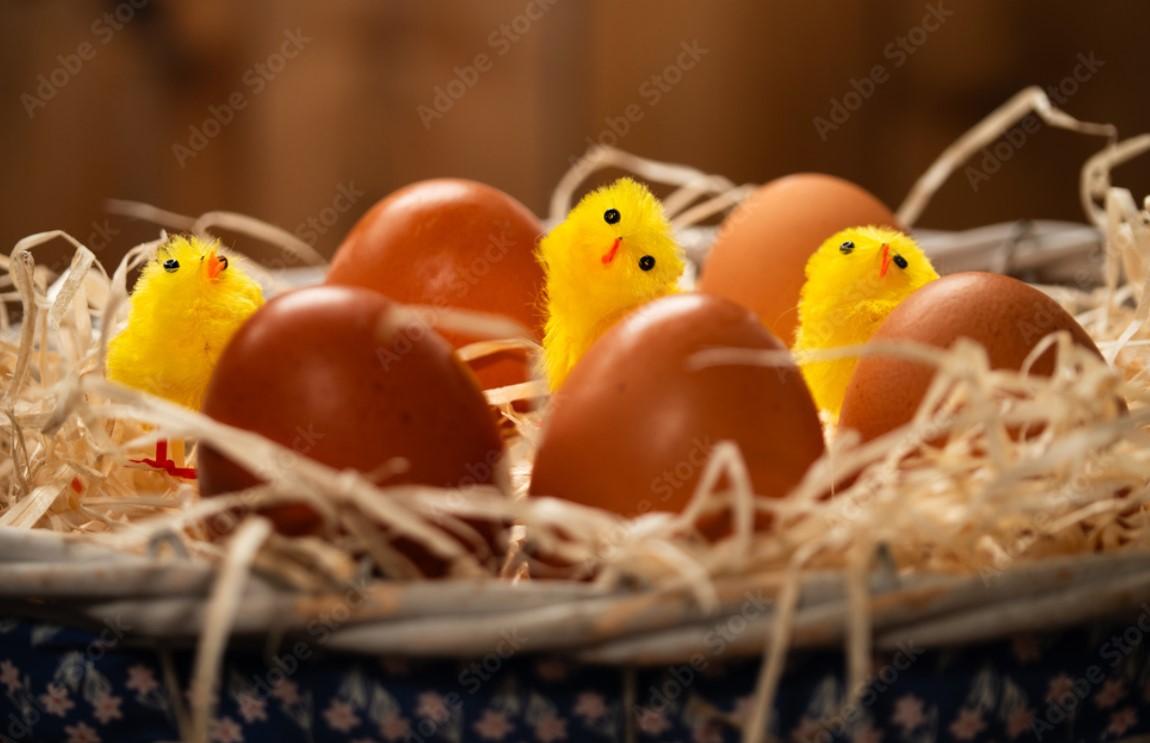 7 sustainable ideas for your nesting party